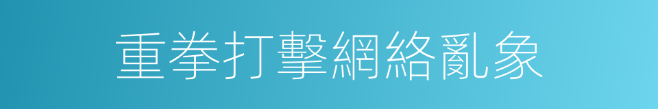 重拳打擊網絡亂象的同義詞