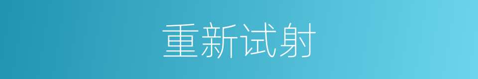 重新试射的同义词