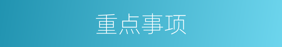 重点事项的同义词