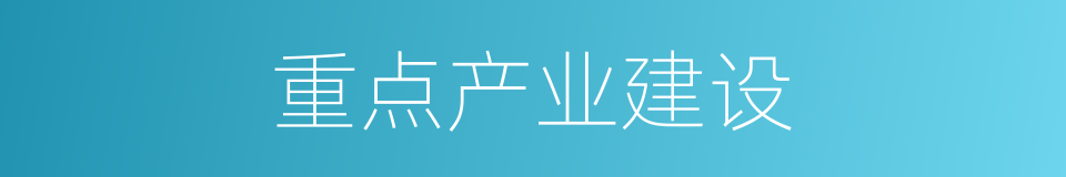 重点产业建设的同义词