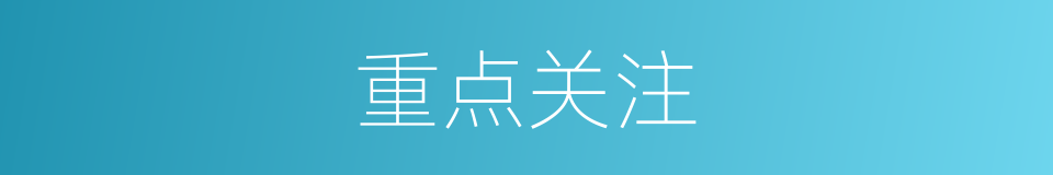 重点关注的意思