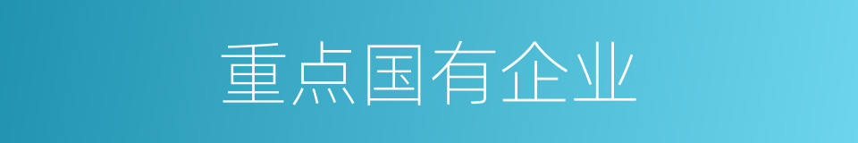 重点国有企业的同义词
