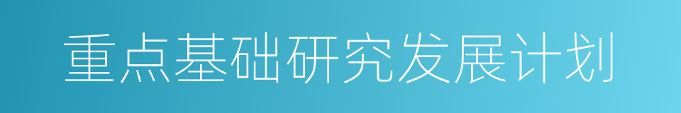 重点基础研究发展计划的同义词