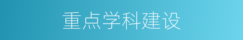 重点学科建设的同义词
