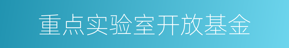 重点实验室开放基金的同义词