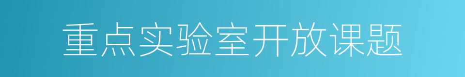 重点实验室开放课题的同义词