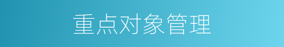 重点对象管理的同义词