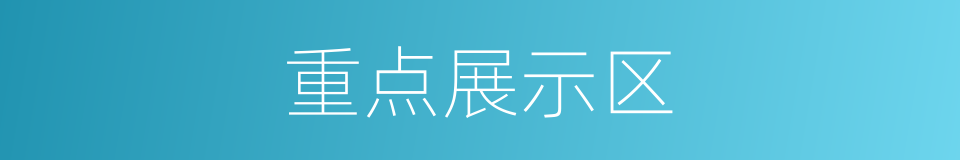 重点展示区的同义词