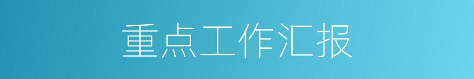 重点工作汇报的同义词