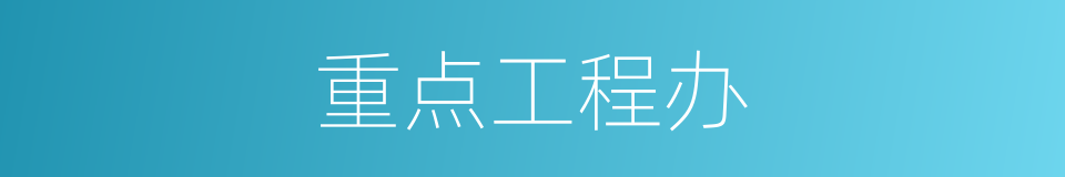 重点工程办的同义词