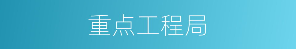 重点工程局的同义词