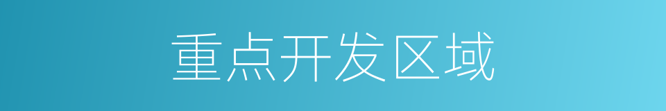 重点开发区域的同义词