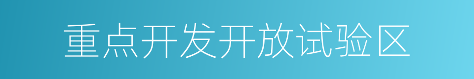 重点开发开放试验区的同义词