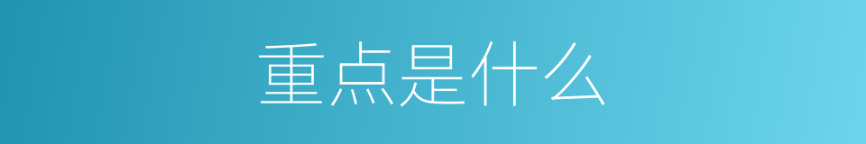 重点是什么的意思
