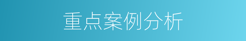 重点案例分析的同义词