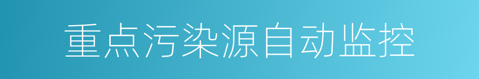 重点污染源自动监控的同义词