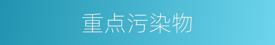 重点污染物的同义词