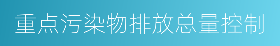 重点污染物排放总量控制的同义词