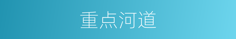 重点河道的同义词