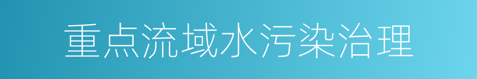 重点流域水污染治理的同义词