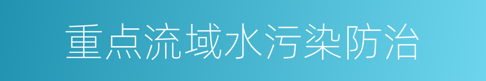 重点流域水污染防治的同义词