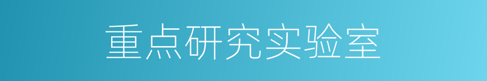 重点研究实验室的同义词