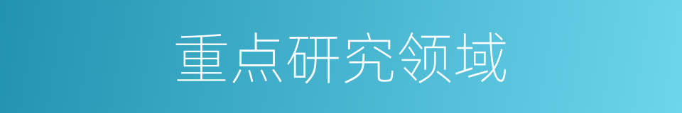 重点研究领域的同义词
