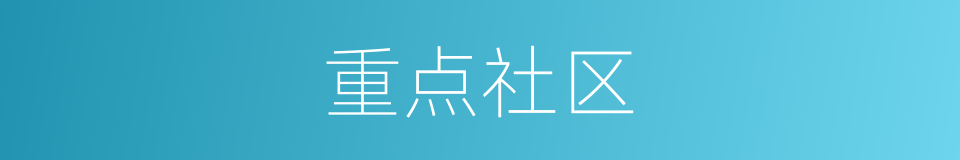 重点社区的同义词