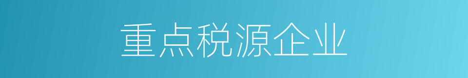 重点税源企业的同义词