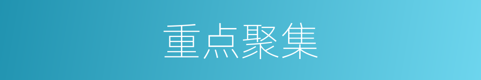 重点聚集的同义词