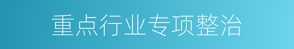 重点行业专项整治的同义词