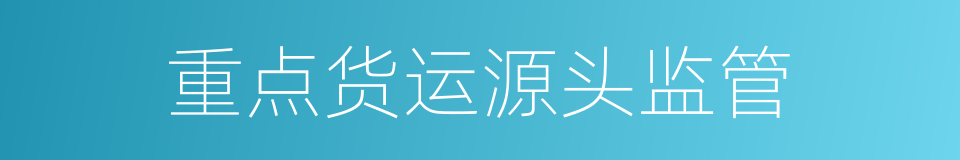 重点货运源头监管的同义词
