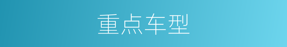 重点车型的同义词
