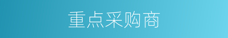 重点采购商的同义词
