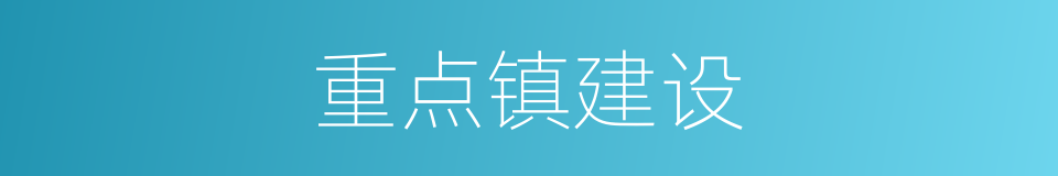 重点镇建设的同义词