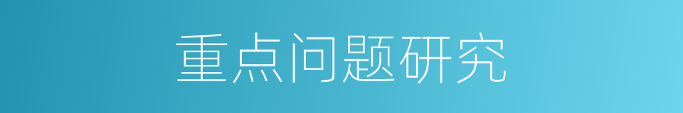 重点问题研究的同义词