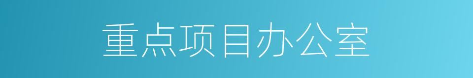 重点项目办公室的同义词