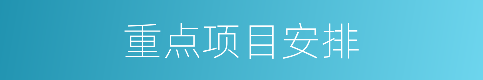 重点项目安排的同义词