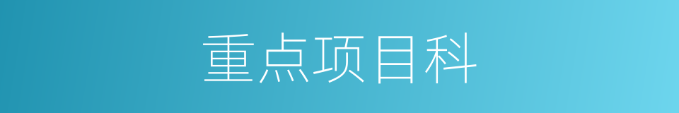 重点项目科的同义词