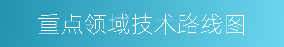 重点领域技术路线图的同义词