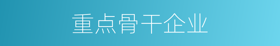 重点骨干企业的同义词