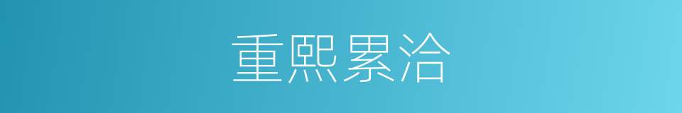 重熙累洽的同义词