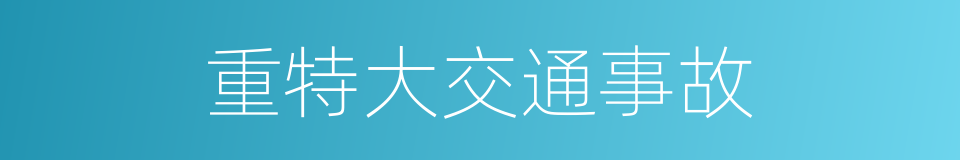 重特大交通事故的同义词