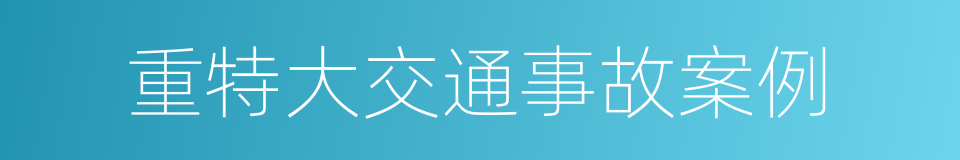 重特大交通事故案例的同义词