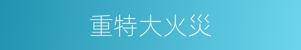 重特大火災的同義詞