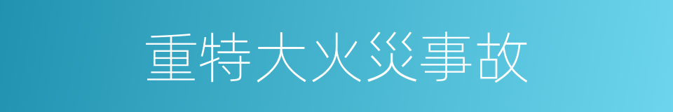 重特大火災事故的同義詞