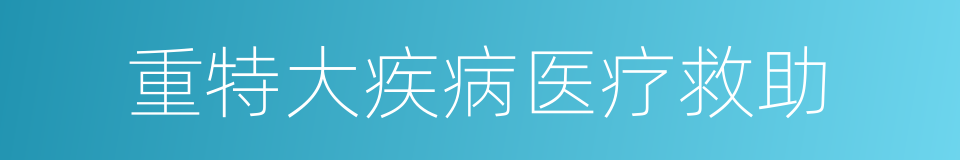 重特大疾病医疗救助的同义词