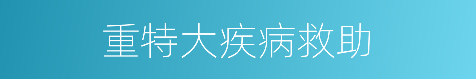 重特大疾病救助的同义词
