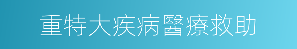 重特大疾病醫療救助的同義詞