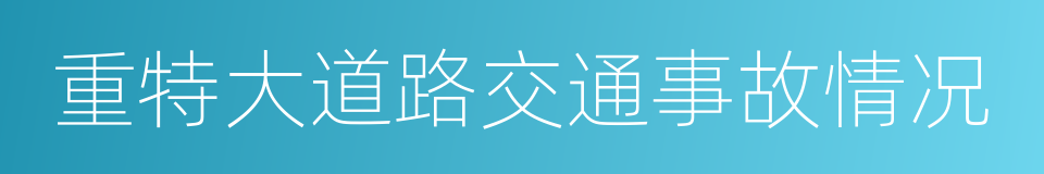 重特大道路交通事故情况的同义词